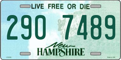 NH license plate 2907489
