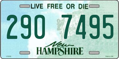 NH license plate 2907495