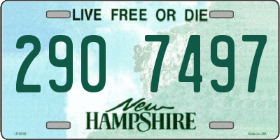NH license plate 2907497