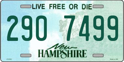 NH license plate 2907499