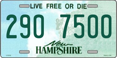 NH license plate 2907500