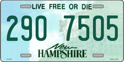 NH license plate 2907505