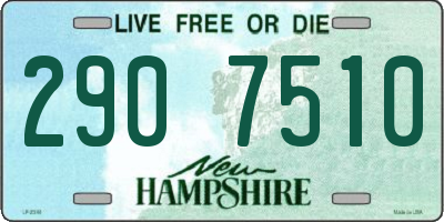NH license plate 2907510