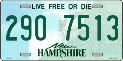 NH license plate 2907513