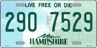 NH license plate 2907529