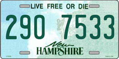 NH license plate 2907533