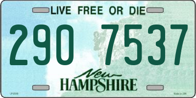 NH license plate 2907537