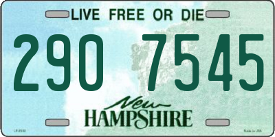 NH license plate 2907545