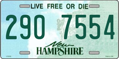 NH license plate 2907554