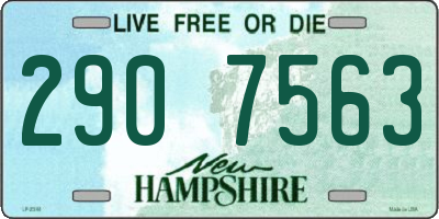 NH license plate 2907563