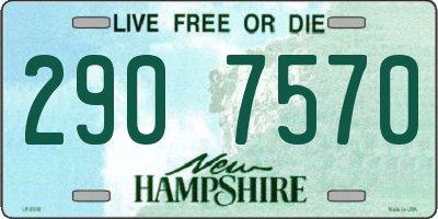 NH license plate 2907570