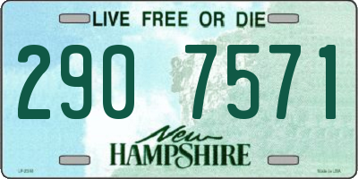 NH license plate 2907571