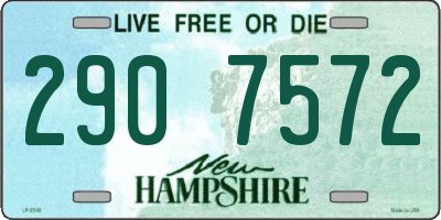 NH license plate 2907572
