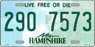 NH license plate 2907573