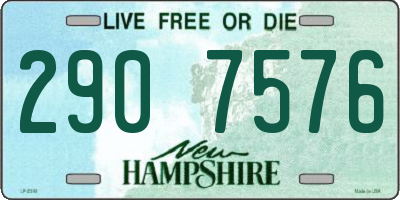 NH license plate 2907576