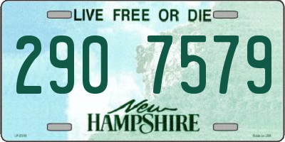 NH license plate 2907579