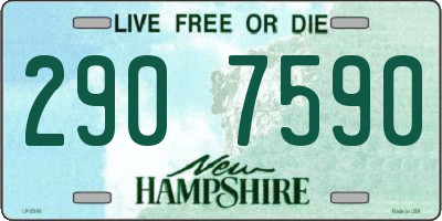 NH license plate 2907590