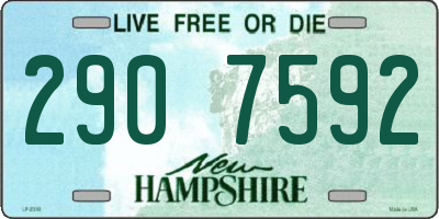 NH license plate 2907592