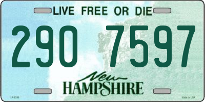 NH license plate 2907597
