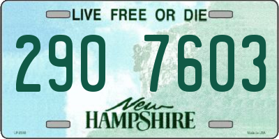 NH license plate 2907603