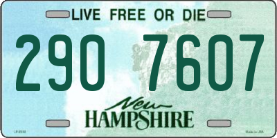 NH license plate 2907607