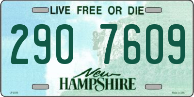 NH license plate 2907609