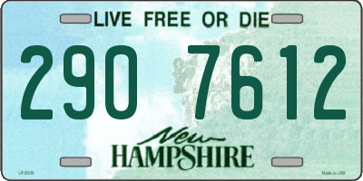 NH license plate 2907612