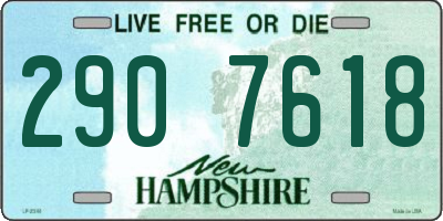 NH license plate 2907618