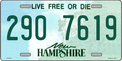 NH license plate 2907619