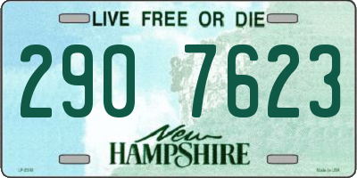 NH license plate 2907623