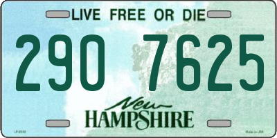 NH license plate 2907625