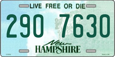 NH license plate 2907630
