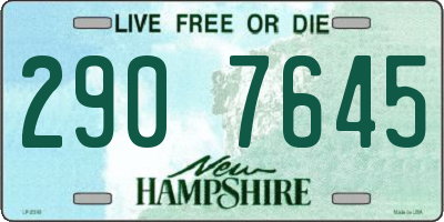 NH license plate 2907645