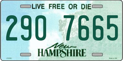 NH license plate 2907665