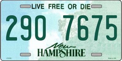 NH license plate 2907675