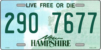 NH license plate 2907677