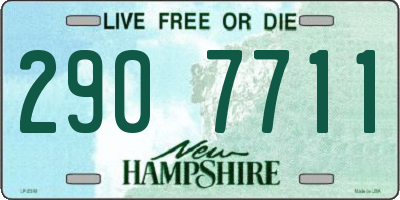 NH license plate 2907711