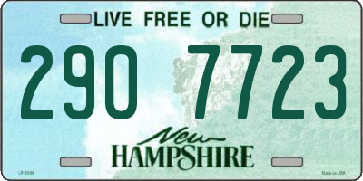 NH license plate 2907723