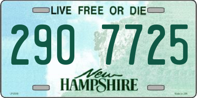 NH license plate 2907725