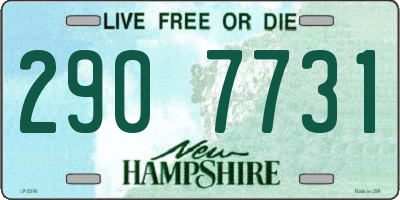 NH license plate 2907731