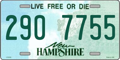 NH license plate 2907755