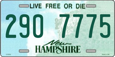 NH license plate 2907775