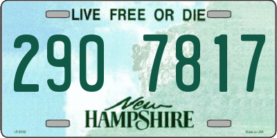 NH license plate 2907817
