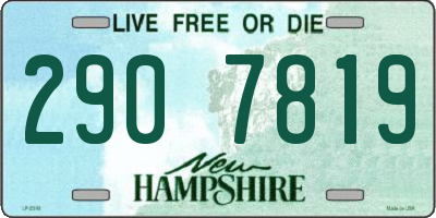 NH license plate 2907819