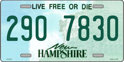 NH license plate 2907830