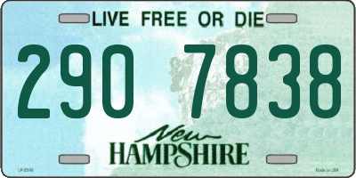 NH license plate 2907838