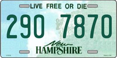 NH license plate 2907870