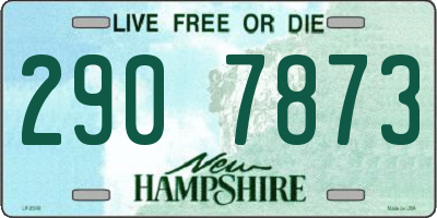 NH license plate 2907873