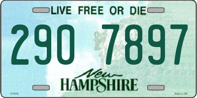 NH license plate 2907897