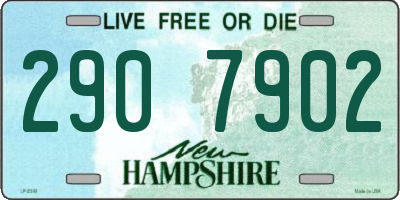 NH license plate 2907902